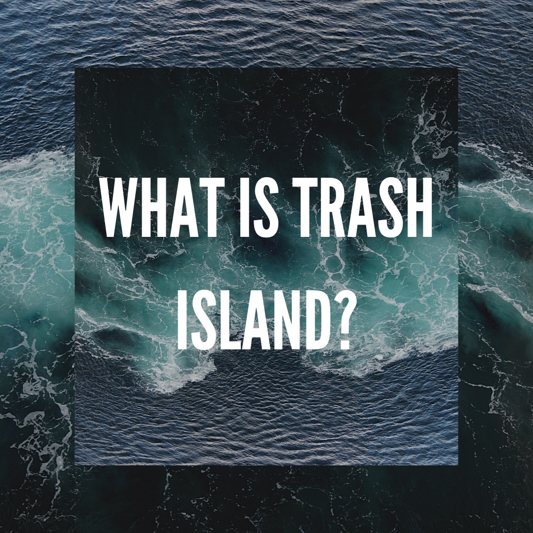 What is trash Island? Image of ocean