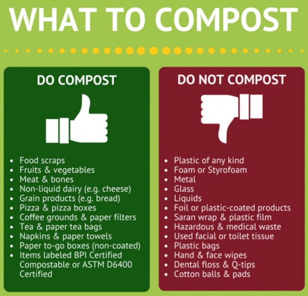 Infographic on what to and not to compost!